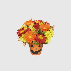 Halloween Flower Boxes